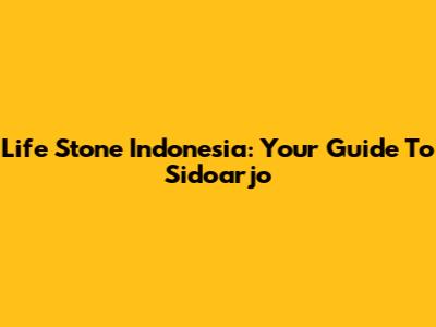 Life Stone Indonesia: Your Guide To Sidoarjo