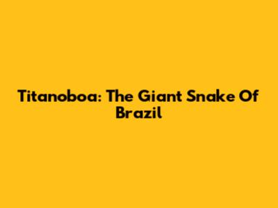Titanoboa: The Giant Snake Of Brazil