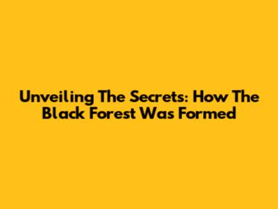 Unveiling The Secrets: How The Black Forest Was Formed